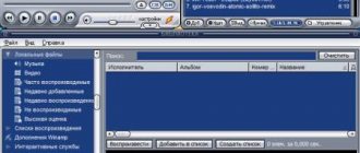 Winamp Window