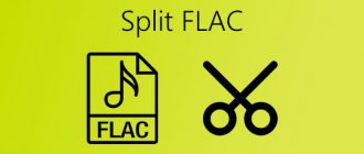 Разделить FLAC